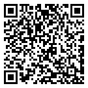 勇闯女儿国-0.1折开心买断版-混服