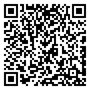 伊苏6：纳比斯汀的方舟